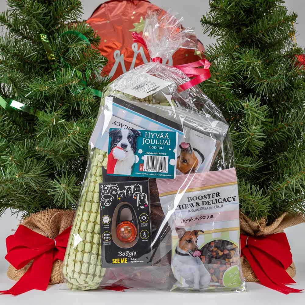 Joulupaketti koiralle