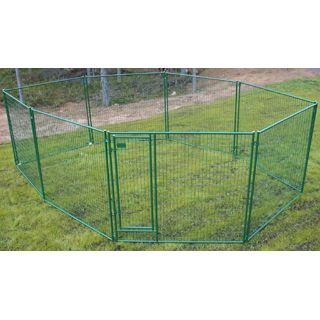 Jämpti Pro Medi koiratarha 4 x 4 m (korkeus 185cm), sinkitty + maalattu