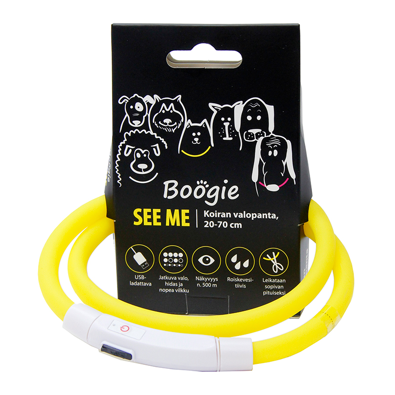 Boogie see me, koiran valopanta