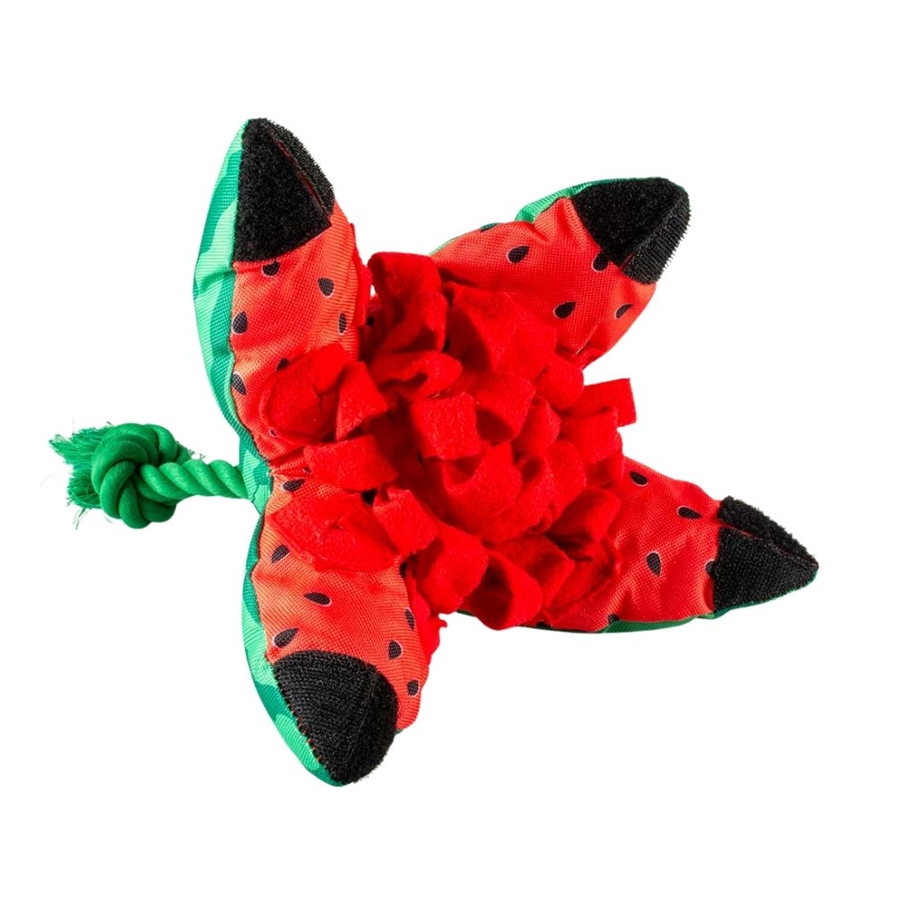 Duvo+ Koiranlelu Namipommi köydellä