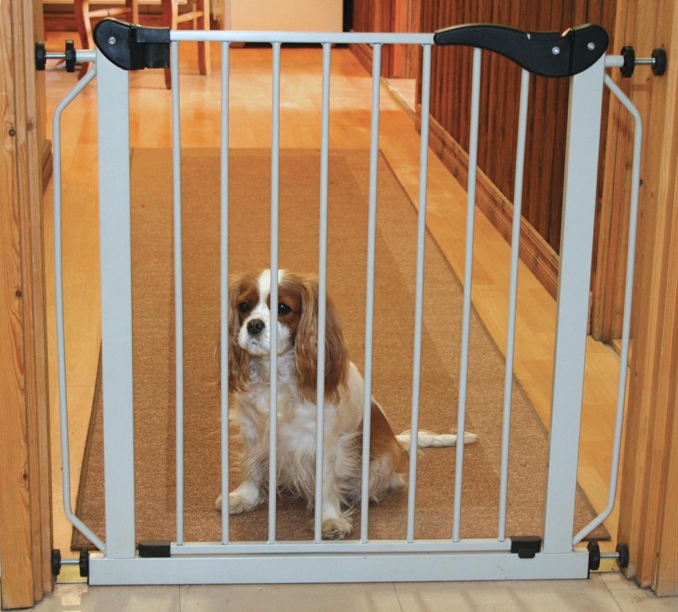 VIP Lemmikkiportti, Matala  