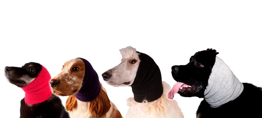 TRANSGROOM Show Tech Ear Buddy -korvatuubi