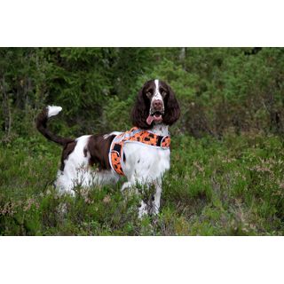 Brava BOOSTER Koiran huomioliivi, Oranssi-forest