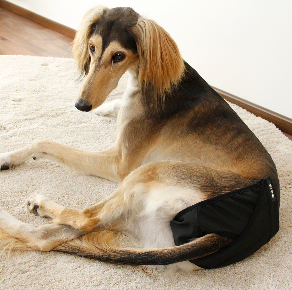 Brava narttusuoja, musta, eri kokoja