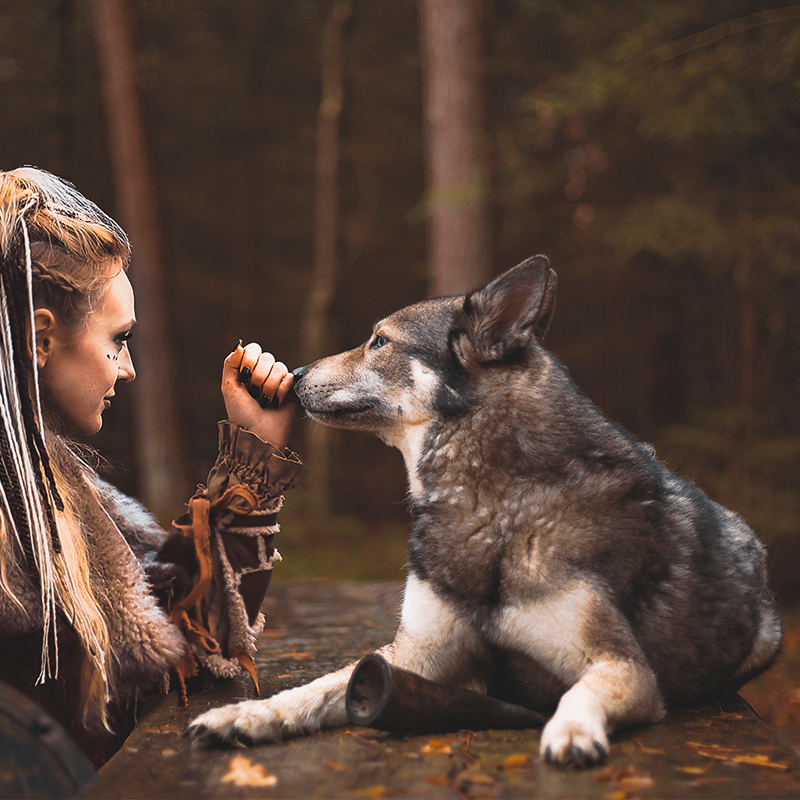 Viking Naudansarvi Kokonainen L