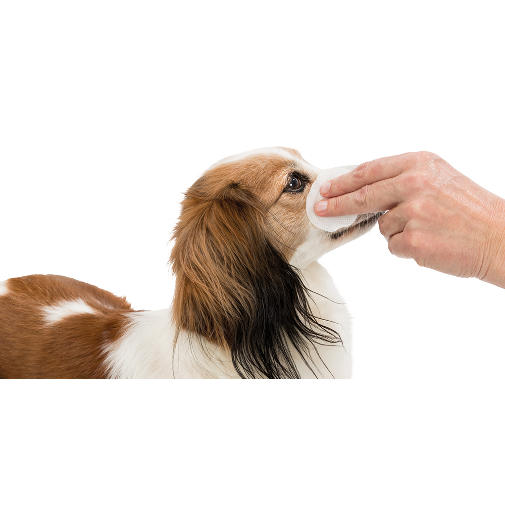 Trixie Lemmikin  silmienpuhdistuslappu 100 kpl