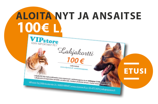 lahjakortti 100 euroa