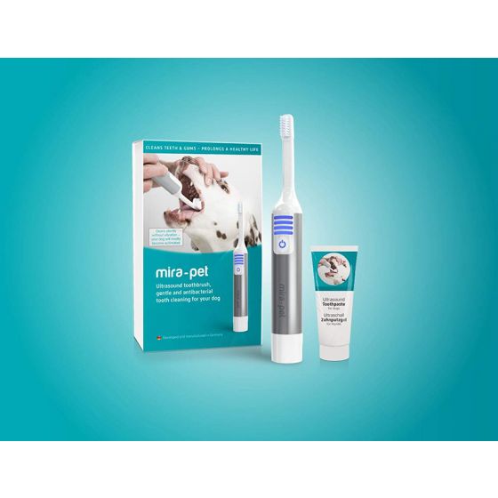 Cleany Teeth Starter Kit,  Ultraäänihammasharja koirille