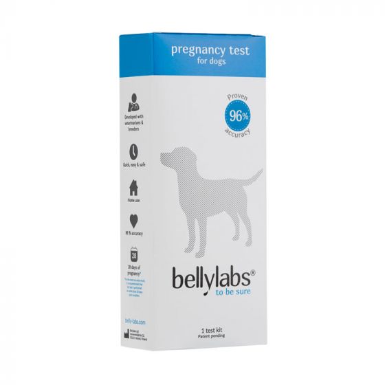 Bellylabs Tiineystesti  koirille