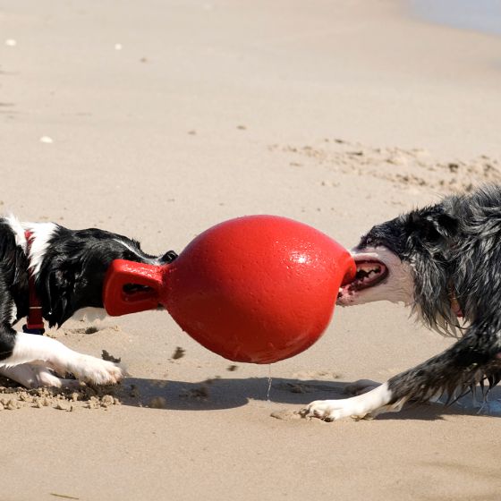 Koiranlelu Jolly Ball Tug-n-Toss, koirille