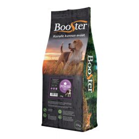 Booster Power