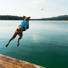 RuffWear Float Coat Pelastusliivi - Eri kokoja