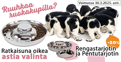 Kuppeja pennuille