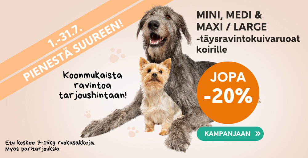 Etusivu, pienestä suureen