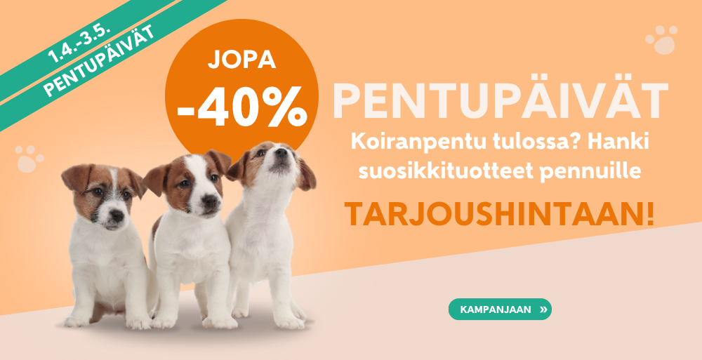 Etusivu, Pentupäivät