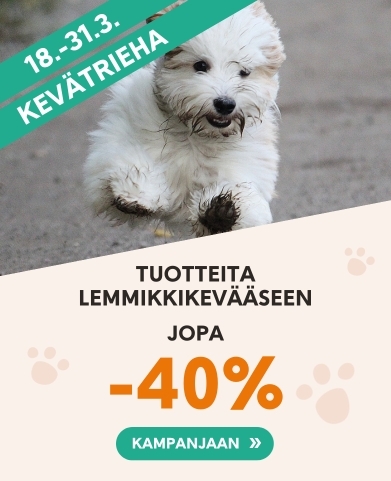 Etusivu, kevatrieha