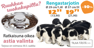 Rengastarjotin 10 prosentin alennus