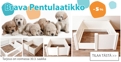 Brava pentulaatikko alennus 5 prosenttia