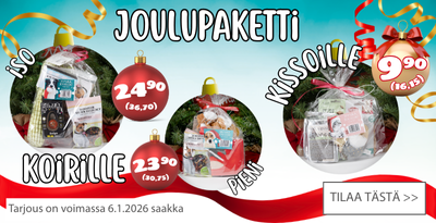 Joulupaketit ja joululelut