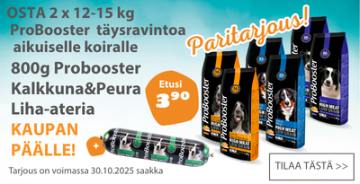Probooster Adult paritarjous kaupan päälle kalkkuna-peura liha-ateria