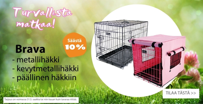 Häkit